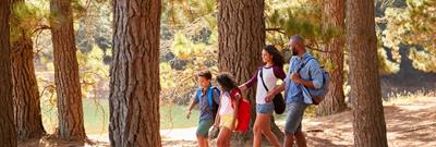 Familly walking in forest