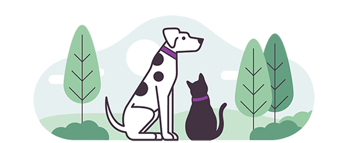 Illustration for pet insurance - with dalmatian and black cat