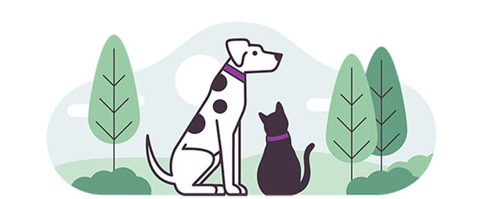 Illustration for pet insurance - with dalmatian and black cat
