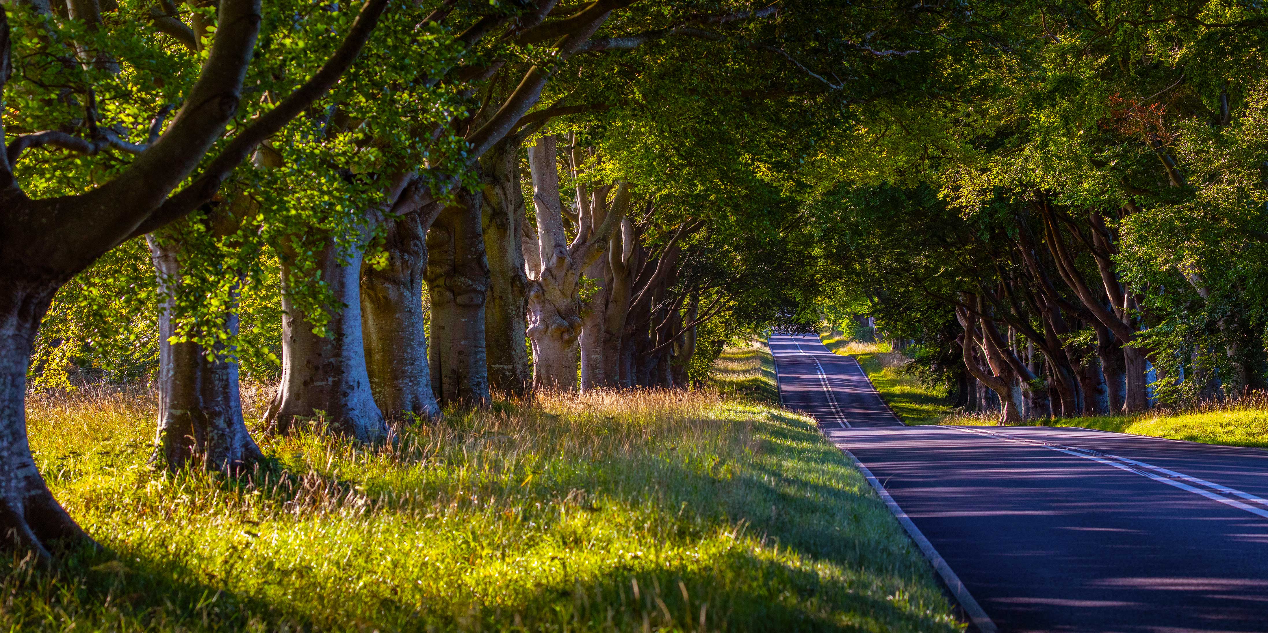 How To Tackle The UK's Rural Roads - Ageas